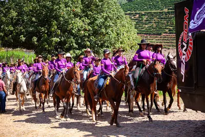 Cavalgada das Patroas 2026 - foto 857